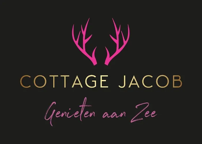 Jacob Apartment Zandvoort